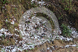 Snow fall at Kausani, India photo
